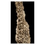 Acetabularia 2, Ruth Peche | EST_ART Space Alcobendas, Madrid