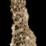 Acetabularia 2, Ruth Peche | EST_ART Space Alcobendas, Madrid