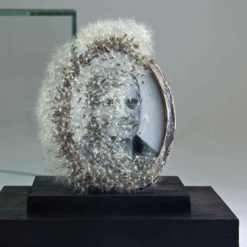 Déjame volar, David Catá, Exposición Perpetua | EST_ART Space, Alcobendas, Madrid