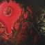 Red Borneo, Francisco Carmena, EST_ART Space, Alcobendas, Madrid