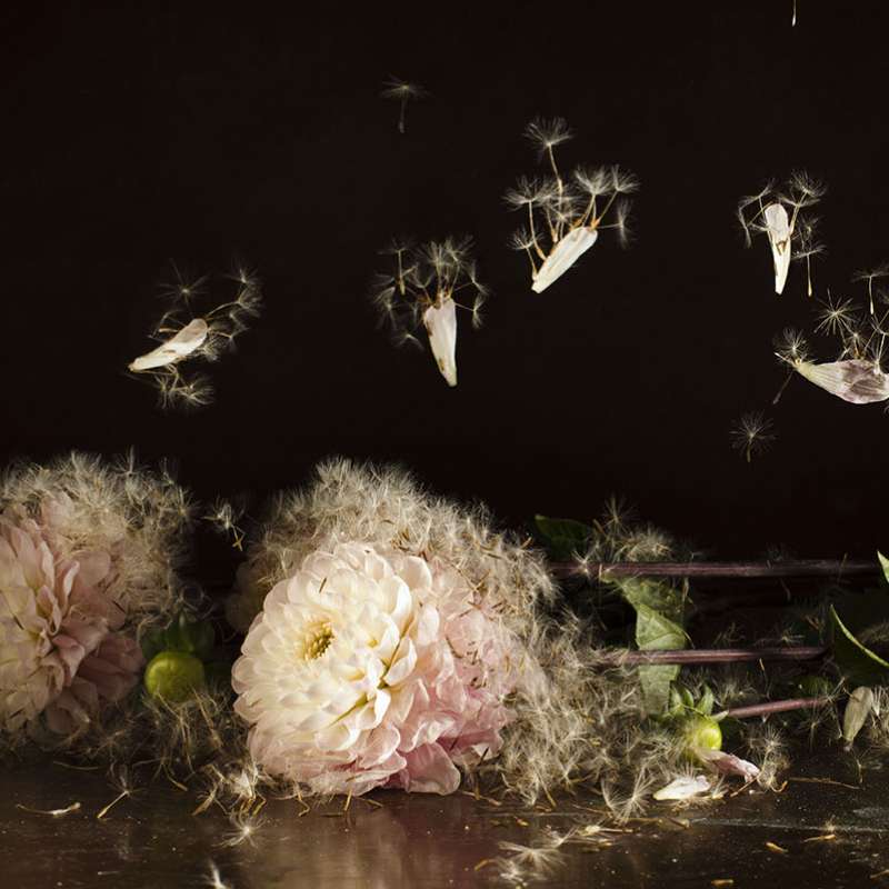 Reminiscencias | 5, David Catá, Exposición Perpetua | EST_ART Space, Alcobendas, Madrid