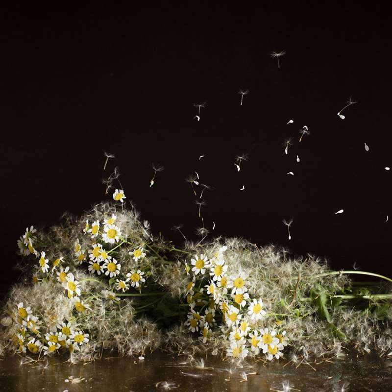 Reminiscencias | 6, David Catá, Exposición Perpetua | EST_ART Space, Alcobendas, Madrid