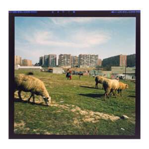 Barrio del Pilar desde Peña Chica, Juan Miguel Sánchez Vigil & Manuel Durán Blázquez, Fotografía Analógica, WhiteBlanace 2025 | EST_ART Space, Alcobendas, Madrid