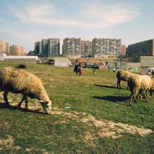 Barrio del Pilar desde Peña Chica, Juan Miguel Sánchez Vigil & Manuel Durán Blázquez, Fotografía Analógica, WhiteBlanace 2025 | EST_ART Space, Alcobendas, Madrid