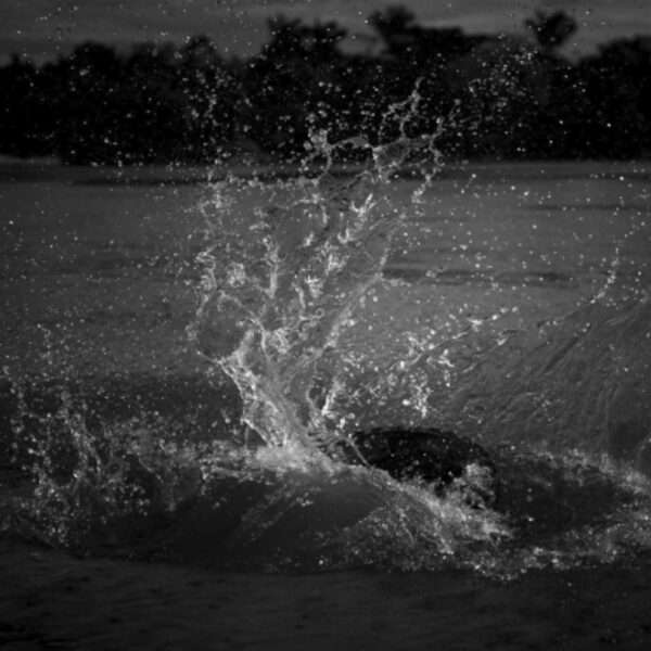 Cavar el río II, Fotografía, Enrique Pezo, WhiteBlanace 2025 | EST_ART Space, Alcobendas, Madrid