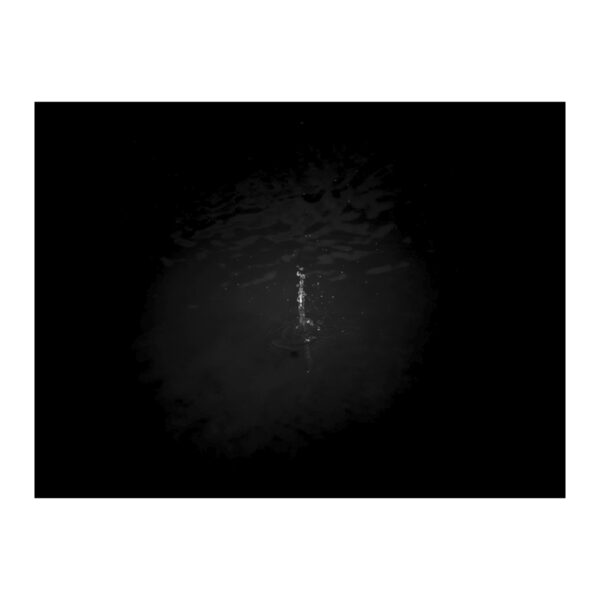 El árbol que llora, Fotografía, Enrique Pezo, WhiteBlanace 2025 | EST_ART Space, Alcobendas, Madrid