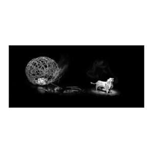 León, Fotografía B&W, Jorge Luis Gariazzo, WhiteBlanace 2025 | EST_ART Space, Alcobendas, Madrid
