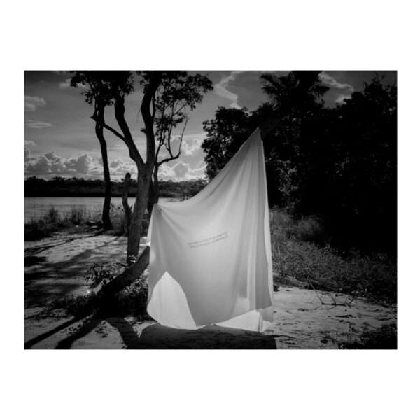 Se engoma en una de las ramas muertas sobre el rio invisible I, Instalación, Enrique Pezo, WhiteBlanace 2025 | EST_ART Space, Alcobendas, Madrid