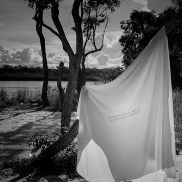 Se engoma en una de las ramas muertas sobre el rio invisible I, Instalación, Enrique Pezo, WhiteBlanace 2025 | EST_ART Space, Alcobendas, Madrid